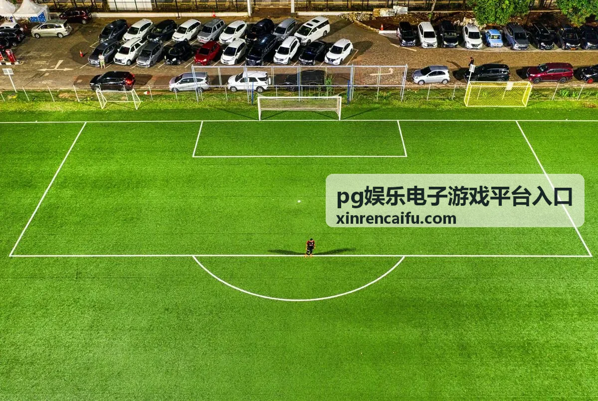 pg娱乐电子游戏平台入口常见问题排查封面