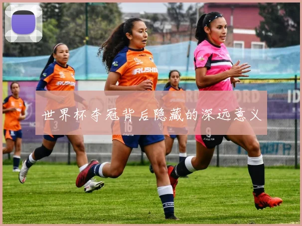 世界杯夺冠背后隐藏的深远意义