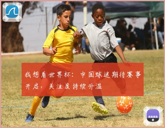 我想看世界杯:中国球迷期待赛事开启,关注度持续升温