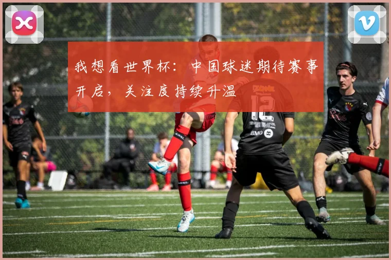 我想看世界杯:中国球迷期待赛事开启,关注度持续升温